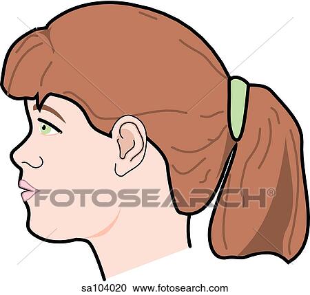 Clipart - Lateral view of the external anatomy of a child (head and neck).. Fotosearch