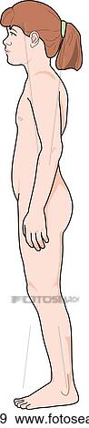 Lateral view of the external anatomy of a child. View Large Illustration Stock Illustration - Lateral view of the external anatomy of a child.. Fotosearch