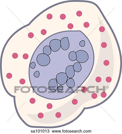 Neutrophil. View Large Illustration Drawing - Neutrophil.. Fotosearch