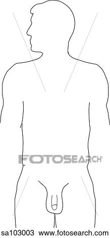 Drawing - Outline of a 3/4 figure.. Fotosearch