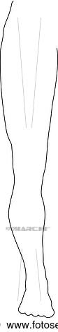 Outline of the leg. View Large Illustration Clipart - Outline of the leg.. Fotosearch
