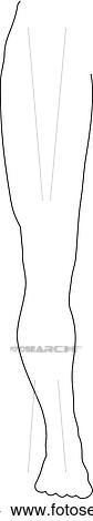 Outline of the leg. View Large Illustration Stock Illustration - Outline of the leg.. Fotosearch