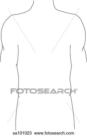 Outline of the thoracic region of the body. View Large Illustration Drawing - Outline of the thoracic region of the body.. Fotosearch