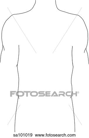 Outline of the thoracic region of the body. View Large Illustration Stock Illustration - Outline of the thoracic region of the body.. Fotosearch