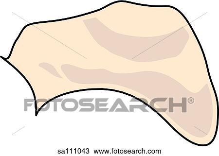 Plantar view of the skeletal anatomy of the right foot (navicular bone). View Large Illustration Drawing - Plantar view of the skeletal anatomy of the right foot (navicular bone).. Fotosearch