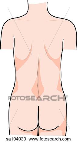 Clipart - Posterior view of the external anatomy of a child (back, hips and gluteal region).. Fotosearch