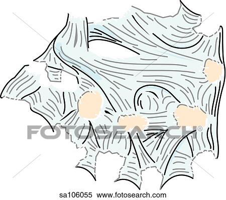 Posterior view of the right wrist joint showing relative positions of ligaments. View Large Illustration Stock Illustration - Posterior view of the right wrist joint showing relative positions of ligaments.. Fotosearch