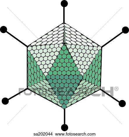 Stock Illustration - Adenovirus (DNA virus).. Fotosearch