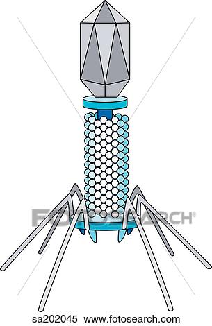 Bacteriophage. View Large Illustration Stock Illustration - Bacteriophage.. Fotosearch