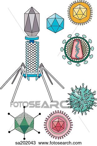 Drawing - Illustration of 7 viruses which emphasizes the diversity in structure and size of these infectious agents.. Fotosearch