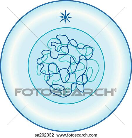 Drawing - Interphase.. Fotosearch