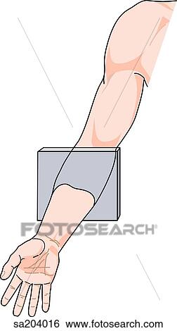 Orientation drawing of forearm. View Large Illustration Stock Illustration - Orientation drawing of forearm.. Fotosearch