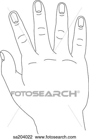 Outline of dorsal view hand. View Large Illustration Drawing - Outline of dorsal view hand.. Fotosearch