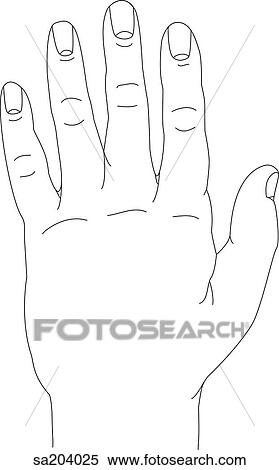 Outline of dorsal view of hand. View Large Illustration Stock Illustration - Outline of dorsal view of hand.. Fotosearch