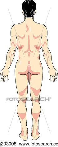 Posterior view of the external anatomy of an Asian male. View Large Illustration Stock Illustration - Posterior view of the external anatomy of an Asian male.. Fotosearch
