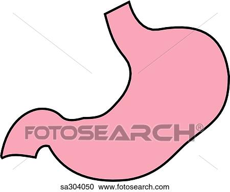 Anterior view of the bladder. View Large Illustration Clipart - Anterior view of the bladder.. Fotosearch