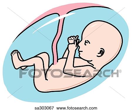 Lateral view of the fetus during the third month of the first trimester of pregnancy. View Large Illustration Stock Illustration - Lateral view of the fetus during the third month of the first trimester of pregnancy.. Fotosearch