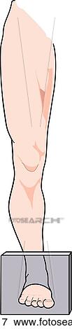 Stock Illustration - Level of section is shown in leg.. Fotosearch