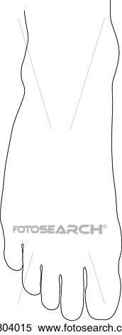 Outline of dorsal view of foot. View Large Illustration Stock Illustration - Outline of dorsal view of foot.. Fotosearch