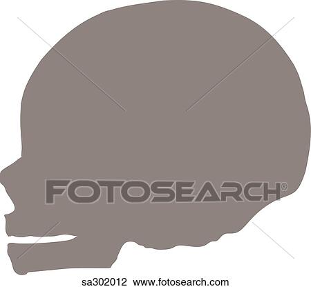 Silhouette of newborn skull. View Large Illustration Drawing - Silhouette of newborn skull.. Fotosearch