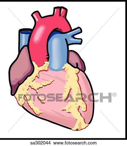 The sympathetic nervous system innervates the heart. View Large Illustration Stock Illustration - The sympathetic nervous system innervates the heart.. Fotosearch