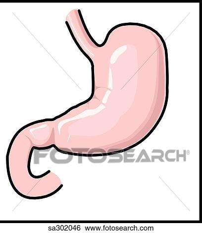 The sympathetic nervous system innervates the stomach. View Large Illustration Stock Illustration - The sympathetic nervous system innervates the stomach.. Fotosearch