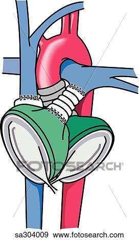 Torso outline of an adult male. View Large Illustration Stock Illustration - Torso outline of an adult male.. Fotosearch