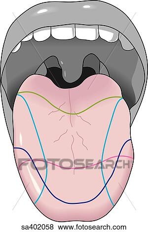 開いている口 で べろが拡張される 指摘 区域 それ 区別しなさい Taste イラスト Sa4058 Fotosearch