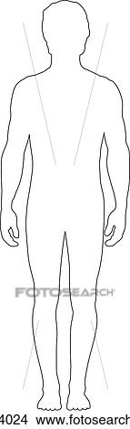 Anterior view of outline of body. View Large Illustration Stock Illustration - Anterior view of outline of body.. Fotosearch