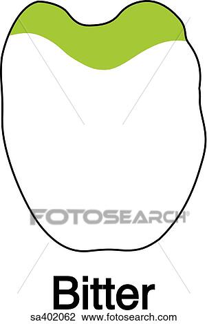 Drawing - Bitter area of tongue.. Fotosearch