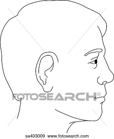 Stock Illustration - Lateral view of adult male head.. Fotosearch