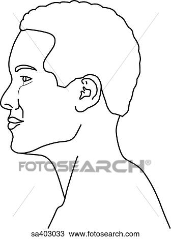 Drawing - Lateral view of male head and neck held in stationary position.. Fotosearch