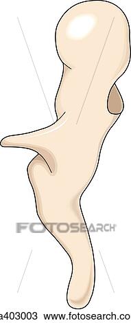 Malleus. View Large Illustration Drawing - Malleus.. Fotosearch
