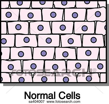 Normal cells. View Large Illustration Stock Illustration - Normal cells.. Fotosearch