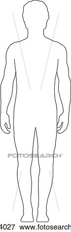 Stock Illustration - Posterior view of outline of body.. Fotosearch