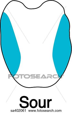 Sour area of tongue. View Large Illustration Clip Art - Sour area of tongue.. Fotosearch