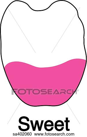 Clipart - Sweet area of tongue.. Fotosearch