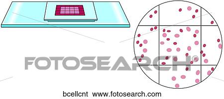 Blood Cell Count View Large Illustration Stock Illustration - Blood Cell Count. Fotosearch