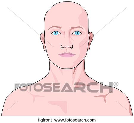 Front of Figure's Head View Large Illustration Stock Illustration - Front of Figure's Head. Fotosearch