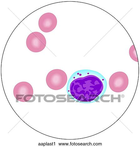 Clip Art - . Fotosearch