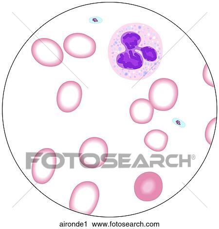 Clip Art - . Fotosearch