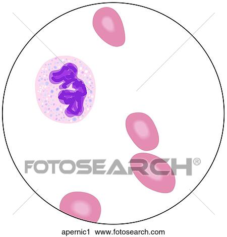 Clip Art - . Fotosearch