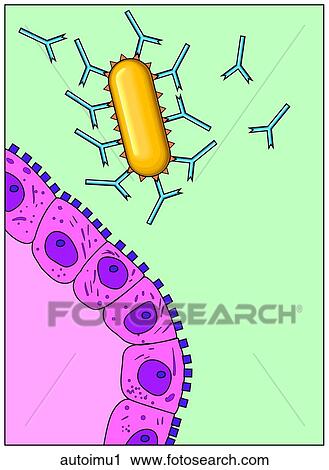 Clip Art - . Fotosearch