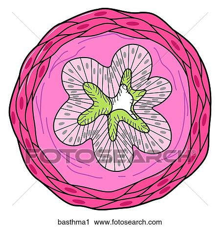 Clip Art - . Fotosearch