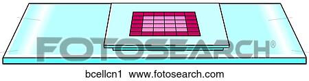 Clip Art - . Fotosearch