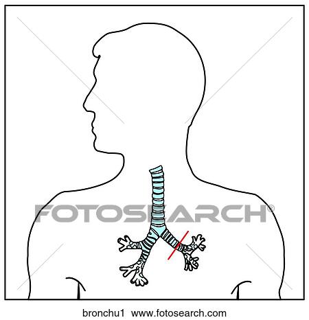View Large Illustration Clip Art - . Fotosearch