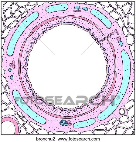 View Large Illustration Drawing - . Fotosearch