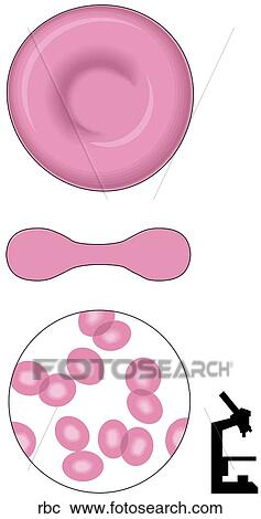 Red Blood Cell View Large Illustration Clipart - Red Blood Cell. Fotosearch