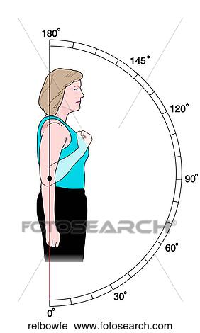 Clip Art - ROM Elbow Flex/Ext. Fotosearch