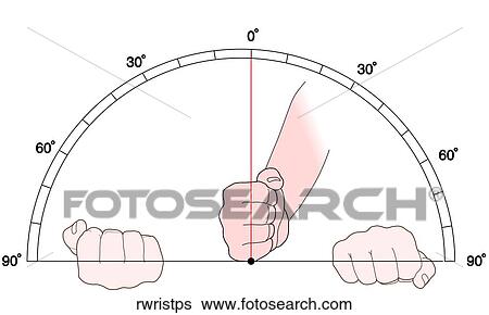Stock Illustration - ROM Radio-Ulnar Pron/Sup. Fotosearch